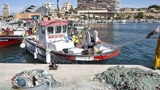 el campello